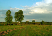 Недорогой земельный участок в Тульской области