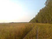 Земельный участок 1 гектар для дачного строительства в д. Натальинка